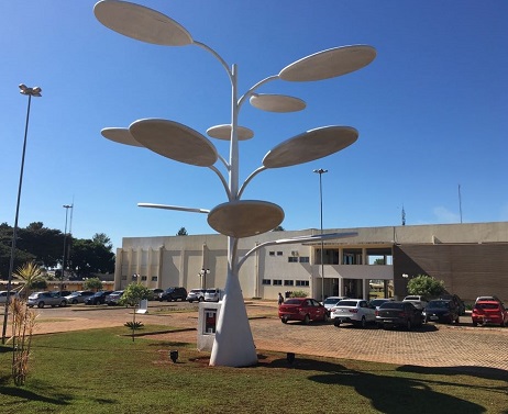A árvore está localizada bem próximo à entrada principal do Câmpus A árvore está localizada bem próximo à entrada principal do Câmpus